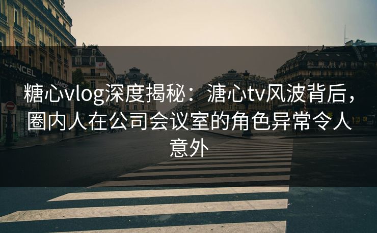 糖心vlog深度揭秘：溏心tv风波背后，圈内人在公司会议室的角色异常令人意外